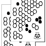 HexCam (2 Pack Same Design)