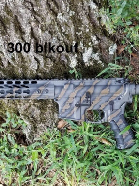 Blackout308