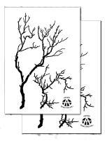 GNARLY BRANCH (2 Pack Same Design)