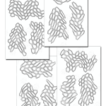 Honeycomb Camo Adhesive Stencils (4 Pack)