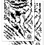 TIGER STRIPE DIGITAL (2 Pack Same Design)