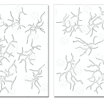 CRACKED EARTH (2 PACK)