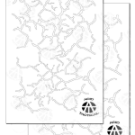 CRACKED (2 Pack Same Design)