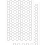 FISH SCALES (2 Pack Same Design)