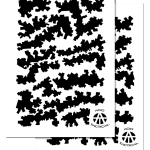 Warped Digital (2 Pack Same Design)